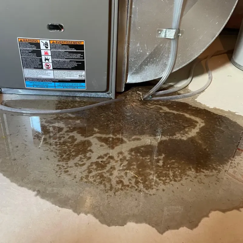 Appliance Leak Cleanup in Texico, NM